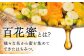 【コクと味わい深い甘み】 日本蜜蜂 百花 はちみつ 200g 純粋蜂蜜 /永尾 忠則 [UAS003] 蜂蜜 ハチミツ 日本ミツ