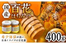 【コクと味わい深い甘み】日本蜜蜂 百花 はちみつ 計400g（200g×2）純粋蜂蜜 /永尾 忠則 [UAS004] 蜂蜜 ハチミツ 日本ミツバチ