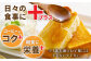 【コクと味わい深い甘み】日本蜜蜂 百花 はちみつ 計400g（200g×2）純粋蜂蜜 /永尾 忠則 [UAS004] 蜂蜜 ハチ