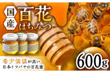 【コクと味わい深い甘み】日本蜜蜂 百花 はちみつ 計600g（200g×3）純粋蜂蜜 /永尾 忠則 [UAS005] 蜂蜜 ハチミツ 日本ミツバチ