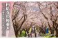 【貸切タクシーで武雄市観光！】ハイグレード仕様 タクシー 武雄市内 観光 （2時間）コース観光券 /温泉タクシー株式会社 [UA