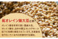 【米の甘味が広がるヘルシーお味噌】からだにうれしい 米味噌 500g×2個（高オレイン酸大豆使用）なるせみそ /角味噌醤油 [U