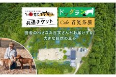 【愛犬と楽しいひと時を！】Cafe 百笑茶屋＆ドッグランで使える共通 チケット /お百笑さん [UAZ002] 食事券 体験 チケット