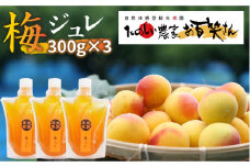 【爽やかな酸味と甘み】 梅ジュレ セット /お百笑さん [UAZ001] 梅 加工品
