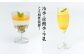【爽やかな酸味と甘み】 梅ジュレ セット /お百笑さん [UAZ001] 梅 加工品