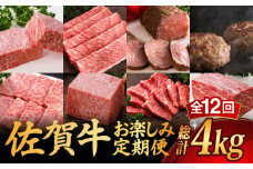 【全12回】 A5ランク 佐賀牛 霜降り 食べ比べ 定期便 約2人前 総計4kg /焼肉どすこい [UCC002] 最高級 牛肉 肉 ステーキ スライス ローストビーフ ハンバーグ