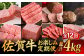 【全12回】 A5ランク 佐賀牛 霜降り 食べ比べ 定期便 約2人前 総計4kg /焼肉どすこい [UCC002] 最高級 牛肉
