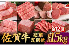 【全12回】 A5ランク 佐賀牛 最上級 プレミアム 定期便 約4-6人前 総計15.4kg 100万 /焼肉どすこい [UCC003] 最高級 牛肉 肉 ステーキ スライス ローストビーフ ヒレ