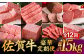 【全12回】 A5ランク 佐賀牛 最上級 プレミアム 定期便 約4-6人前 総計15.4kg 100万 /焼肉どすこい [UCC