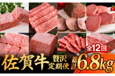【全12回】 A5ランク 佐賀牛 霜降り 食べ比べ 定期便 約2-3人前 総計6.8kg /焼肉どすこい [UCC004] 最高級 牛肉 肉 ステーキ スライス ローストビーフ 焼肉