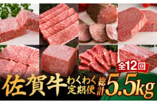 【全12回】 A5ランク 佐賀牛 霜降り 食べ比べ 定期便 約2-3人前 総計5.52kg /焼肉どすこい [UCC005] 最高級 牛肉 肉 ステーキ スライス ローストビーフ 焼肉