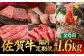 【全6回・偶数月にお届け】 A5ランク 佐賀牛 高級 霜降り 食べ比べ 定期便 約1-2人前 総計1.66kg 隔月発送 /焼肉
