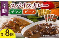 【こだわりの玉ねぎと32種のスパイス！】 薬膳 スパイスカレー ファミリー セット /自然庵 [UCQ003] カレー レトルトカレー 鶏肉 鶏 チキン 牛肉 牛 ビーフ