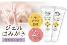 武雄市産レモングラス歯磨きジェル 604fresh /ミゾタ【やさしいみがき心地】 [UBC001] 歯磨き粉 歯みがき粉 レモングラス
