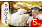 【安心安全の特別栽培米！】令和6年産 さがびより 5kg 武雄市橘産 /よしたか農園 [UCY001] 白米 米 お米 こめ 白