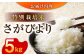 【安心安全の特別栽培米！】令和6年産 さがびより 5kg 武雄市橘産 /よしたか農園 [UCY001] 白米 米 お米 こめ 白