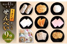 【大人気せんべいの詰め合わせ】せんべいバラエティ詰合せ 8種 計9袋 /恵比須堂 [UBQ001] お菓子 おかし 煎餅 和菓子