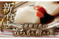 【6回定期便】佐嘉平川屋 豆乳もち セット 8個入（4種×2）（黒蜜きな粉・抹茶蜜きな粉・みたらし・つぶあん） [UBU006]