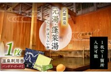 【1300年の歴史ある温泉】武雄温泉 元湯・蓬莱湯 温泉利用券（オリジナル干支バンダナ付き） 1名様分 [UCZ006] 温泉 チケット 温泉入浴券 利用券 温泉チケット 入浴券 武雄