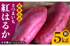 【定番の焼き芋から様々なお料理に！】佐賀県武雄市産 さつまいも 紅はるか 約5kg /おかわりのうえん [UDD001] 芋 いも サツマイモ