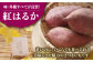 【定番の焼き芋から様々なお料理に！】佐賀県武雄市産 さつまいも 紅はるか 約5kg /おかわりのうえん [UDD001] 芋 い