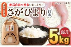 【2025年4月発送開始】【6回定期便】令和6年産 さがびより 白米 5kg＜14年連続特A評価＞ 配送前精米/江口農園 [UBF007] さがびより 白米 米 お米 精米 佐賀県産 特A