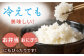 【2025年4月発送開始】【6回定期便】令和6年産 さがびより 白米 5kg＜14年連続特A評価＞ 配送前精米/江口農園 [UB