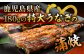 【3回定期便】 国産 うなぎ 本格炭火焼 蒲焼 特大 1尾（180g）/炭火焼古賀 [UDH010] 手焼き 冷凍 ウナギ 鰻 