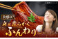 【12回定期便】 国産 うなぎ 本格炭火焼 特大 3尾 計540g（180g×3尾）/炭火焼古賀 [UDH016] 手焼き 冷凍