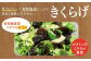 【食物繊維たっぷり】佐賀県産 きくらげ 3種の詰め合わせセット（生・乾燥・パウダー）計270g /菓子工房ピュアハート [UDF