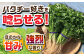 ＜満天☆青空レストランでご紹介＞パクチー好きのためのパクチー 500g 江口農園[UBF008] 野菜 パクチー 本場のパクチー
