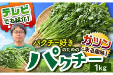 ＜満天☆青空レストランでご紹介＞パクチー好きのためのパクチー 1kg 江口農園[UBF009] 野菜 パクチー 本場のパクチー