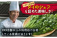 ＜満天☆青空レストランでご紹介＞パクチー好きのためのパクチー 1kg 江口農園[UBF009] 野菜 パクチー 本場のパクチー