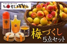 【お百笑さん おすすめ5点セット】梅酒 梅ジャム 梅ドレッシング 梅ジュレ 梅みそ /お百笑さん [UAZ006] セット 加工品 酒 お酒 ジャム ドレッシング ジュレ 味噌 みそ