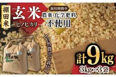 【新米 先行予約】自然農法で育てた特別栽培米 令和7年産 棚田米 ヒノヒカリ 玄米 9kg（3kg×3袋）/永尾 忠則 [UAS007] 棚田玄米 米 お米