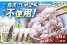 【自然農法で育てた】古代米 三穀米 1.2kg（300g×4袋）/永尾 忠則 [UAS008] 雑穀 雑穀米 米 お米