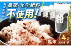 【自然農法で育てたやさしい甘み】古代米 黒米 1.2kg（300g×4袋）/永尾 忠則 [UAS010] 雑穀 雑穀米 米 お米