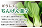 【やみつきのシャキシャキ食感】ちんげん菜キムチ 2袋セット /おかわりのうえん [UDD005] 漬物 チンゲンサイ キムチ 野