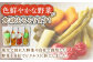 【4回定期便】季節のピクルス 4種セット /おかわりのうえん [UDD004] 漬物 加工品 惣菜 野菜 旬の野菜