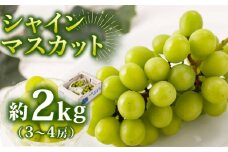 【8月18日～発送開始】【甘くてみずみずしい】シャインマスカット 約2kg ( 3～4房 ) /菓子工房ピュアハート [UDF002]