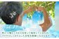 【甘くてみずみずしい】シャインマスカット 約2kg ( 3～4房 ) /菓子工房ピュアハート [UDF002]