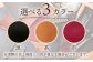【赤色】スケジュール帳 カバー （A6サイズ） 栃木レザー 革 革製品 BagShop36 [UAC006]