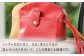 【赤色】オリジナル 手付 ポーチ 名入れ 革 革製品 BagShop36 [UAC008]