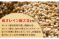 【12回定期便】からだにうれしい 米味噌 1kg（500g×2個）高オレイン酸大豆使用 なるせみそ /角味噌醤油 [UAX012