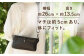 【黒色】サコッシュバッグ Mサイズ /BagShop36 [UAC027]
