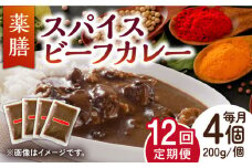 【12回定期便】薬膳スパイスビーフカレー 4食（200g×4） /自然庵 [UCQ009] カレー レトルトカレー 牛肉 牛 ビーフ