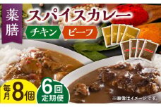 【6回定期便】薬膳スパイスカレー ファミリーセット（チキンカレー 4食 ビーフカレー 4食） /自然庵 [UCQ011] カレー レトルトカレー 鶏肉 鶏 チキン 牛肉 牛 ビーフ