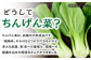 【6回定期便】ちんげん菜キムチ 2袋セット /おかわりのうえん [UDD007] 漬物 チンゲンサイ キムチ 野菜