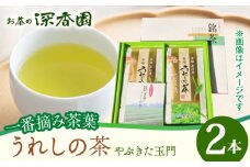 【一番摘み茶葉使用】うれしの茶 2本入（やぶきた 玉門 100g×2本） /お茶の深香園 [UAF006] 茶 お茶 緑茶 日本茶 煎茶
