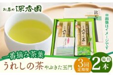 【3回定期便】一番摘み茶葉使用 うれしの茶 2本入（やぶきた 玉門 100g×2本） /お茶の深香園 [UAF007] 茶 お茶 緑茶 日本茶 煎茶